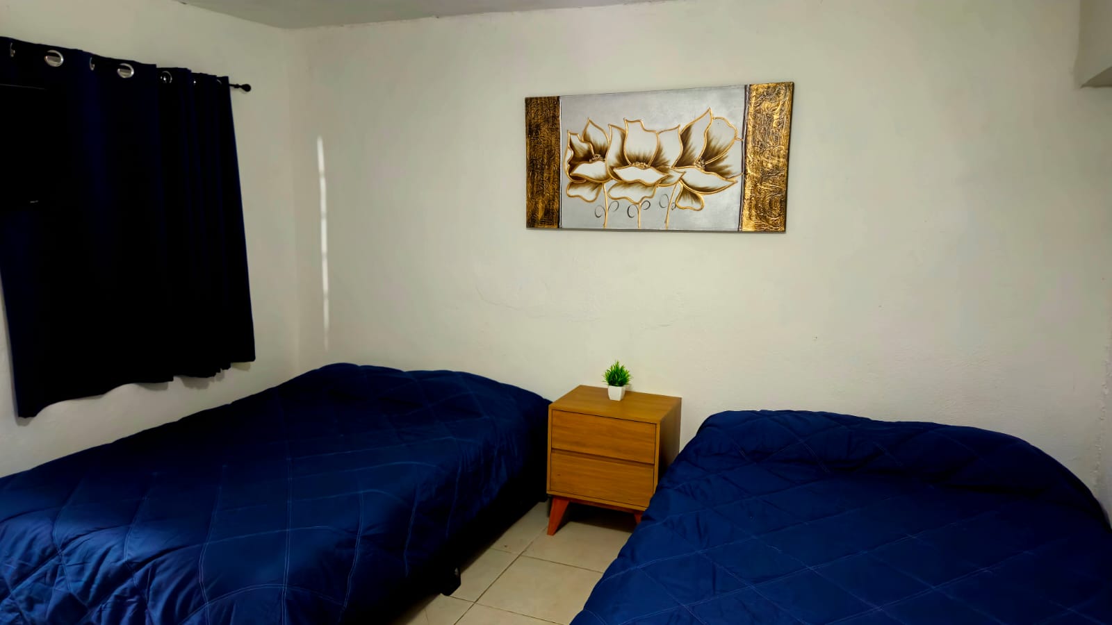 El Loft donde se ve el cuadro, cortina y las camas